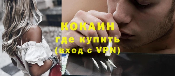 крисы Лагань