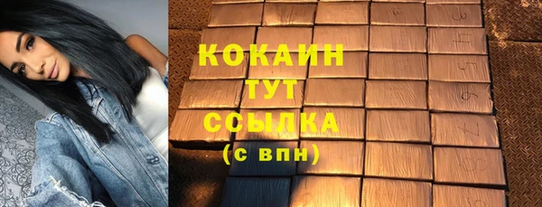 крисы Лагань